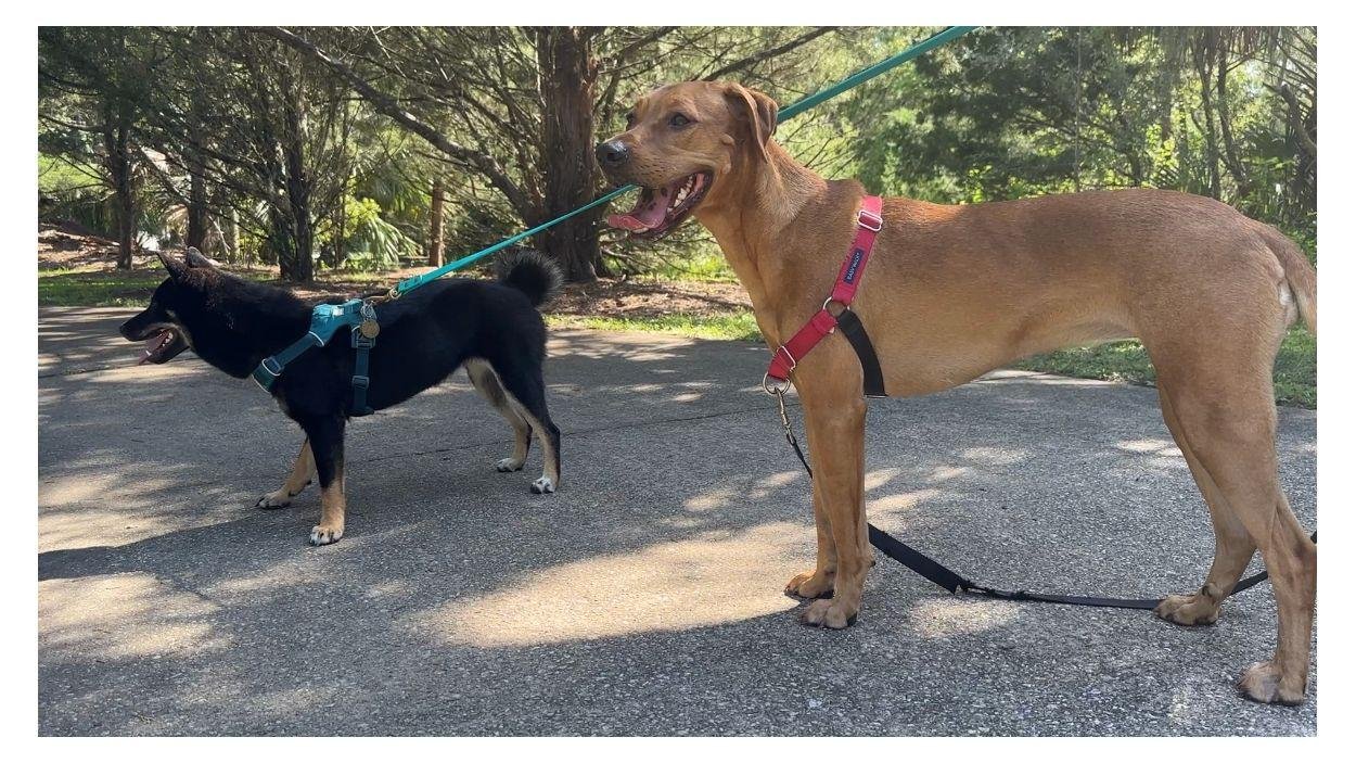 clip harness hero