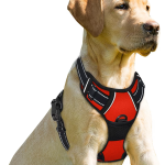 BARKBAY harness
