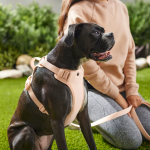 Frisco padded harness