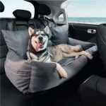 FunnyFuzzy