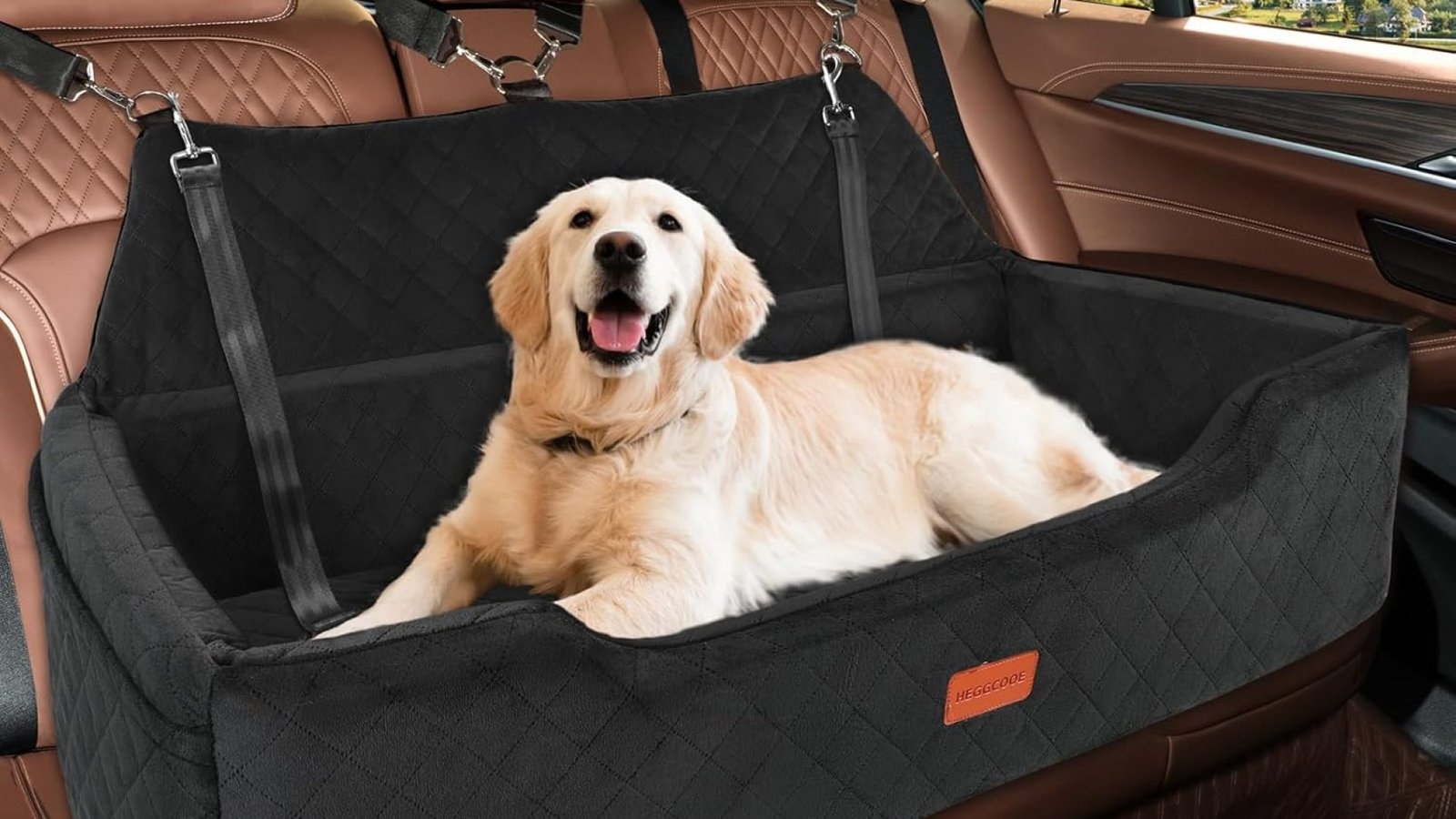 HEGGCOOE dog bed