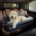 PawsPik
