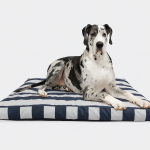 Pet Adobe pillow pic